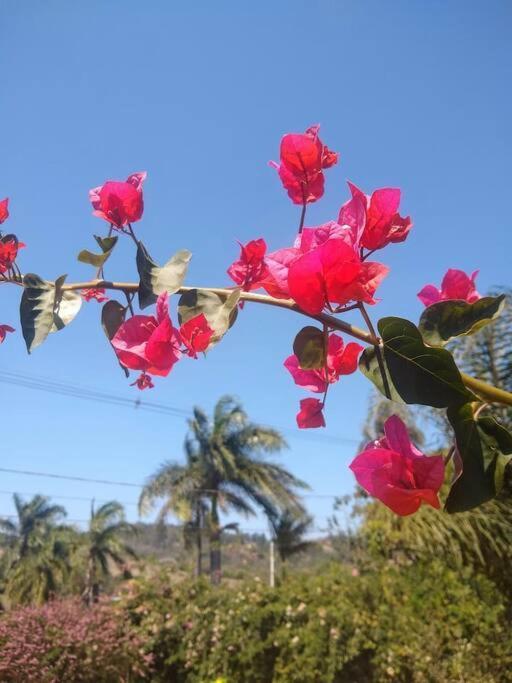 Chale Aconchegante Em Estancia Climatica Santo Antônio do Leite 외부 사진