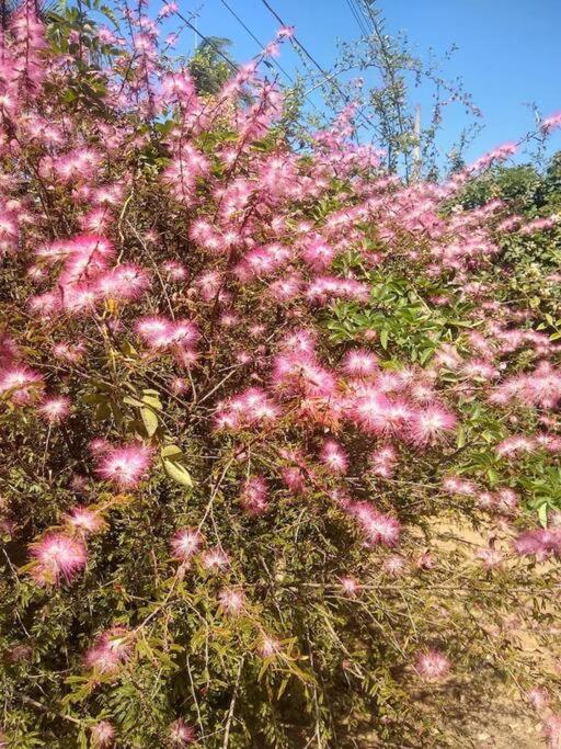 Chale Aconchegante Em Estancia Climatica Santo Antônio do Leite 외부 사진