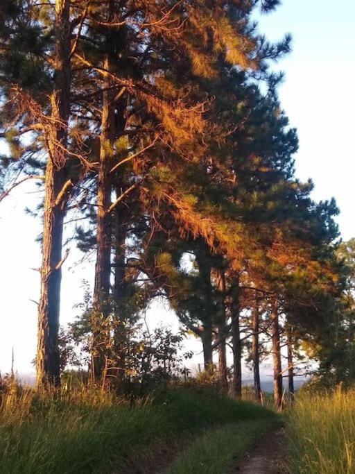 Chale Aconchegante Em Estancia Climatica Santo Antônio do Leite 외부 사진