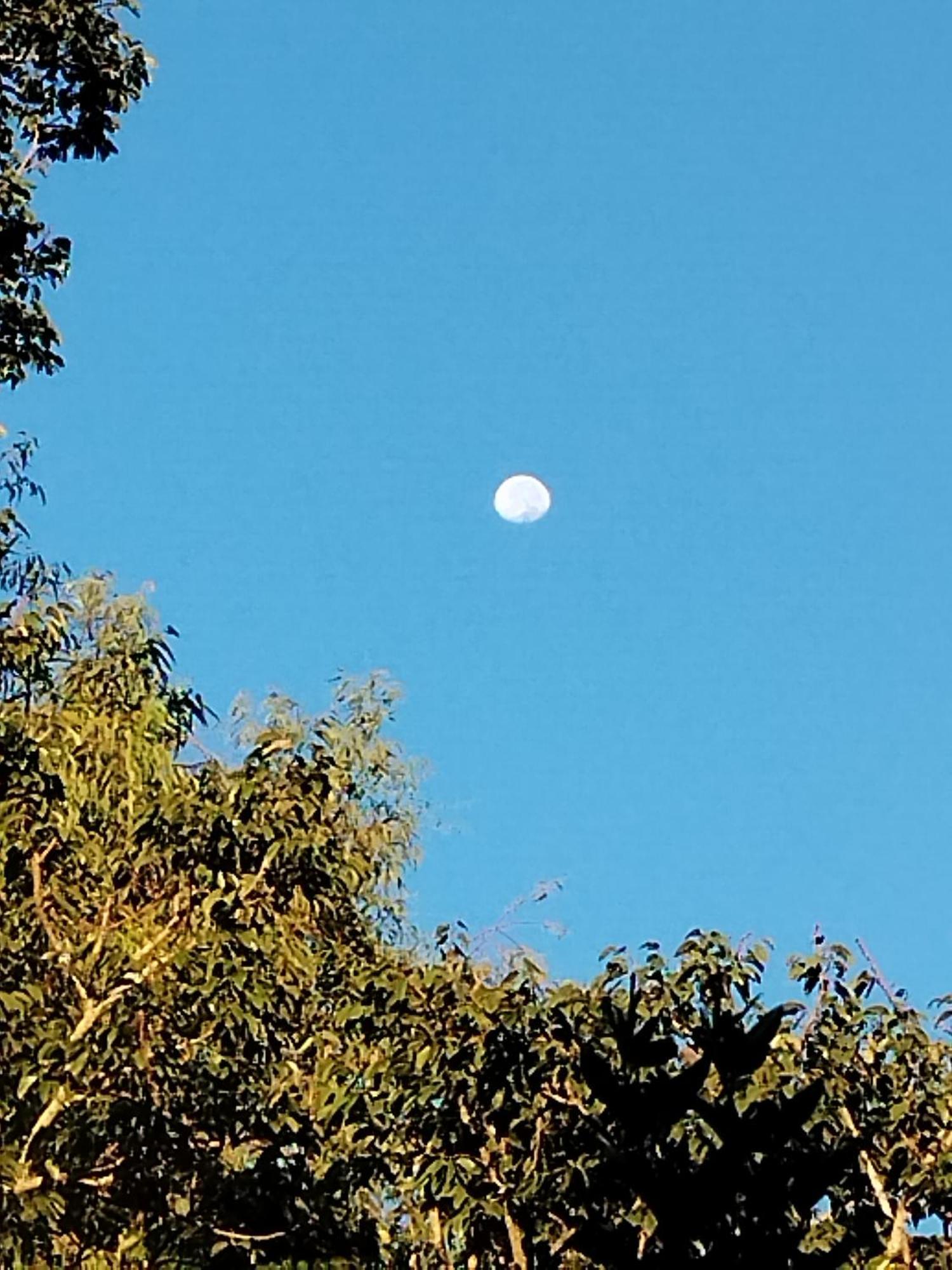 Chale Aconchegante Em Estancia Climatica Santo Antônio do Leite 외부 사진